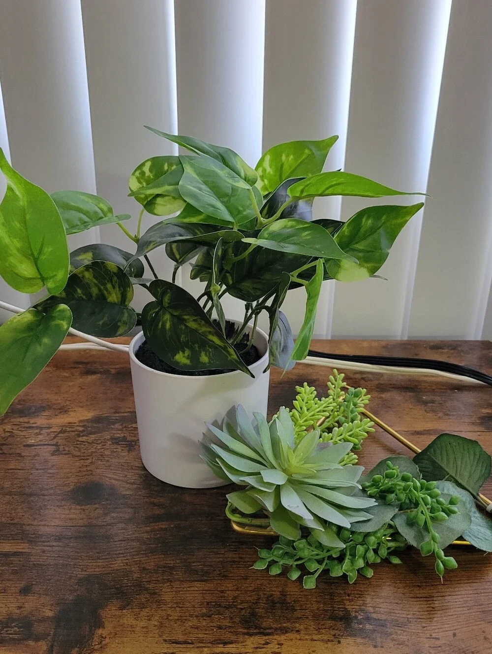 2 Plant Decor Items